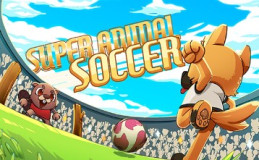 International Super Animal Soccer